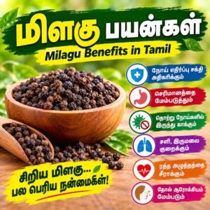 MILAGU USES IN TAMIL