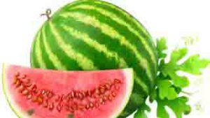 watermelon benefits in tamil