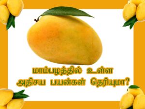 மாம்பழம் பயன்கள்