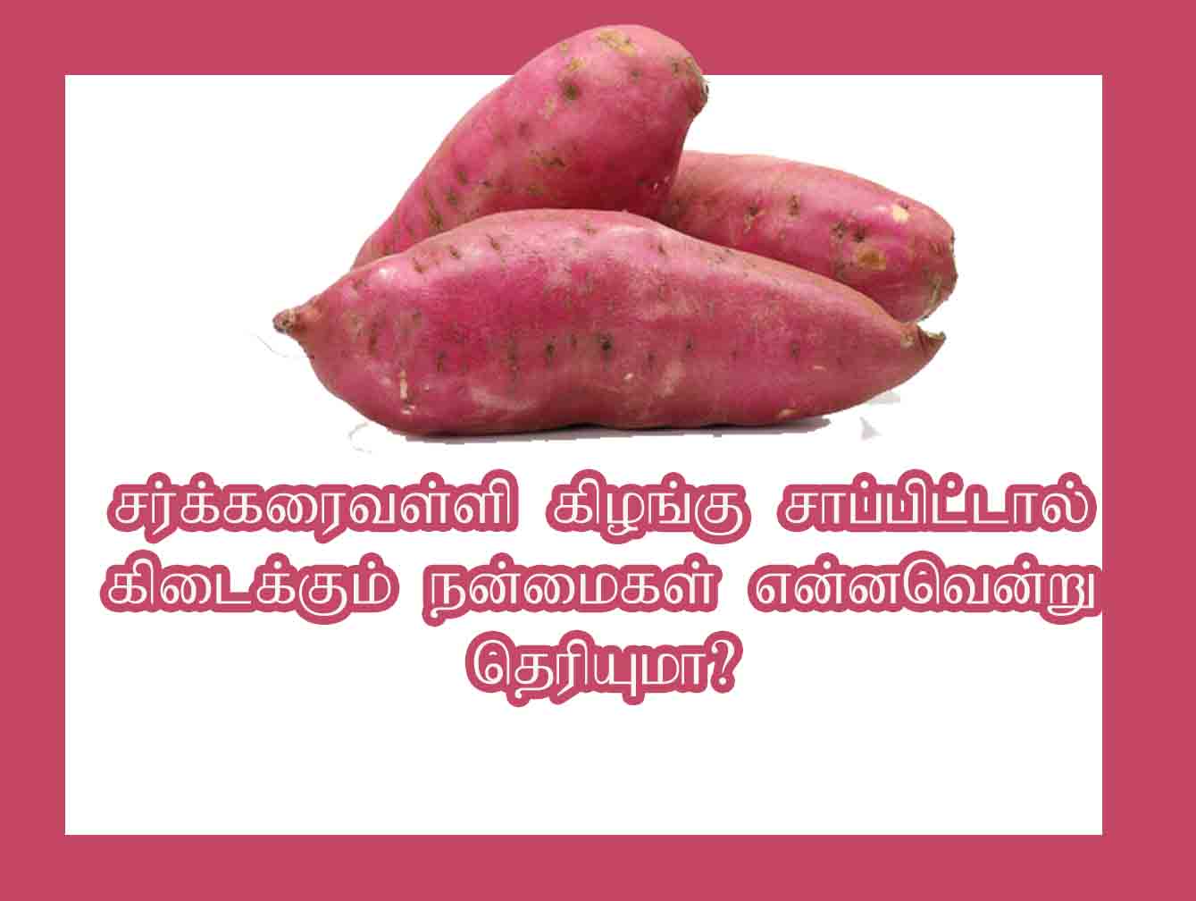 sweet potato tamil