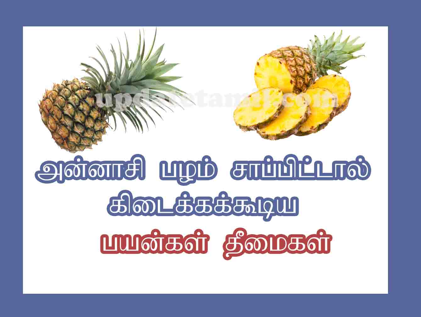 அன்னாசி பழம் பயன்கள் pineapple benefits in tamil