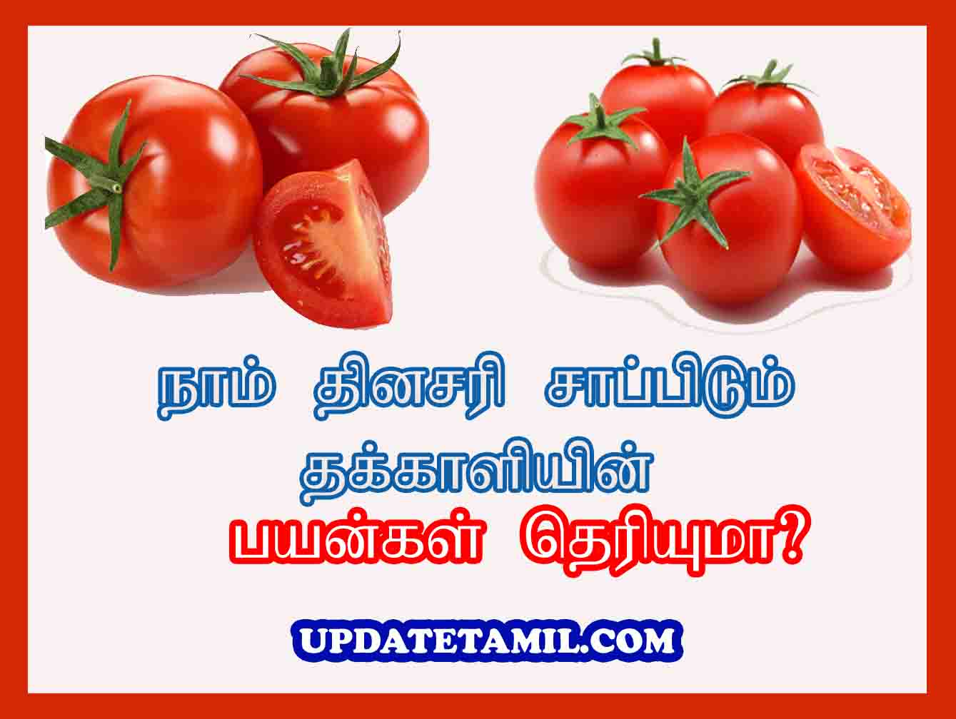 தக்காளி பயன்கள் Tomato Benifits In Tamil