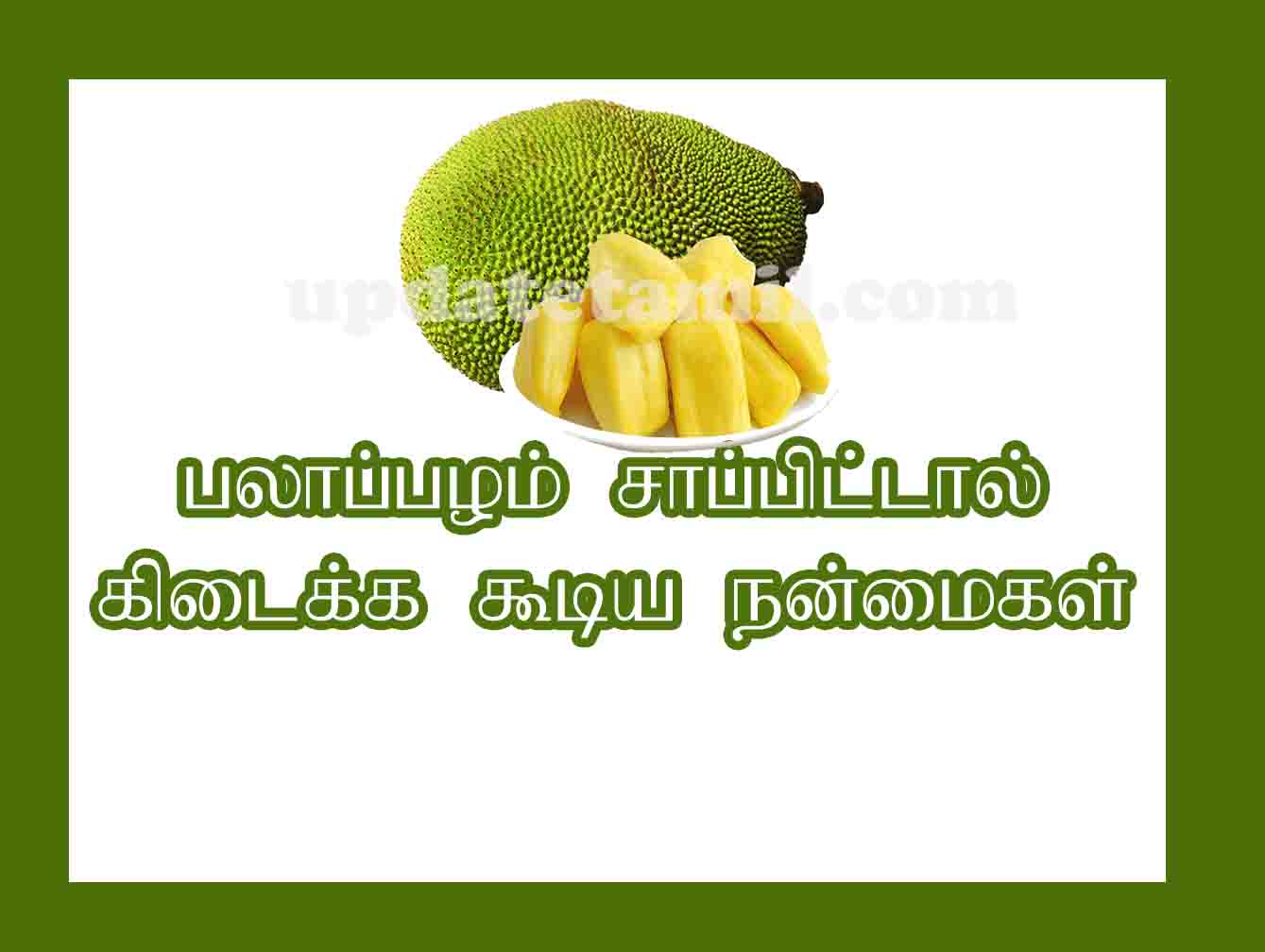 பலாப்பழம் நன்மைகள் jackfruit benefits in tamil