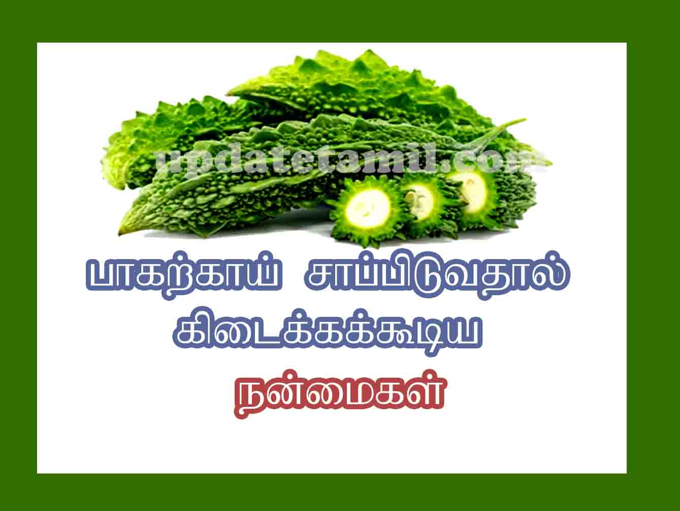 பாகற்காய் பயன்கள் pavakkai benefits tamil