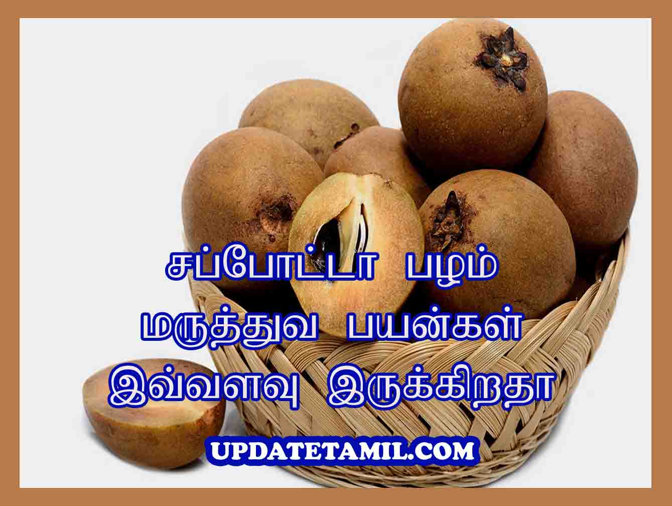 சப்போட்டா பழத்தின் நன்மைகள் | Sapota Fruit Benefits in Tamil