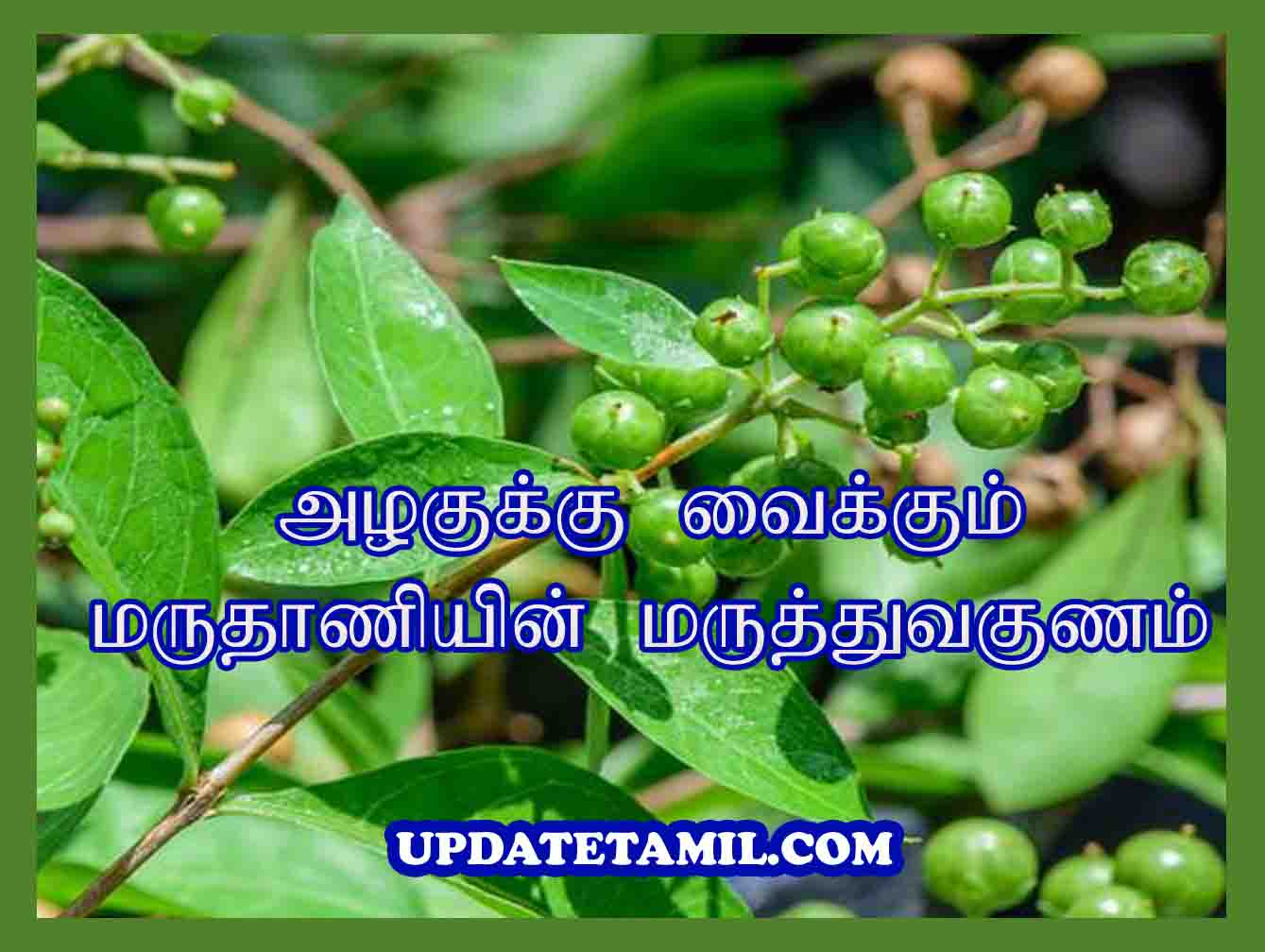 மருதாணி மருத்துவ குணங்கள் | Maruthani Uses in Tamil