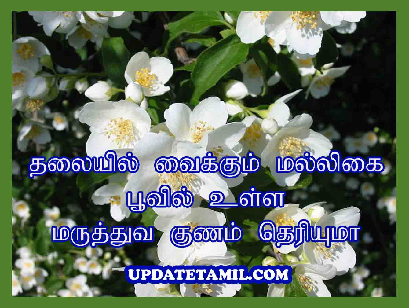மல்லிகை பூ மருத்துவகுணம் | Jasmine Flower in Tamil