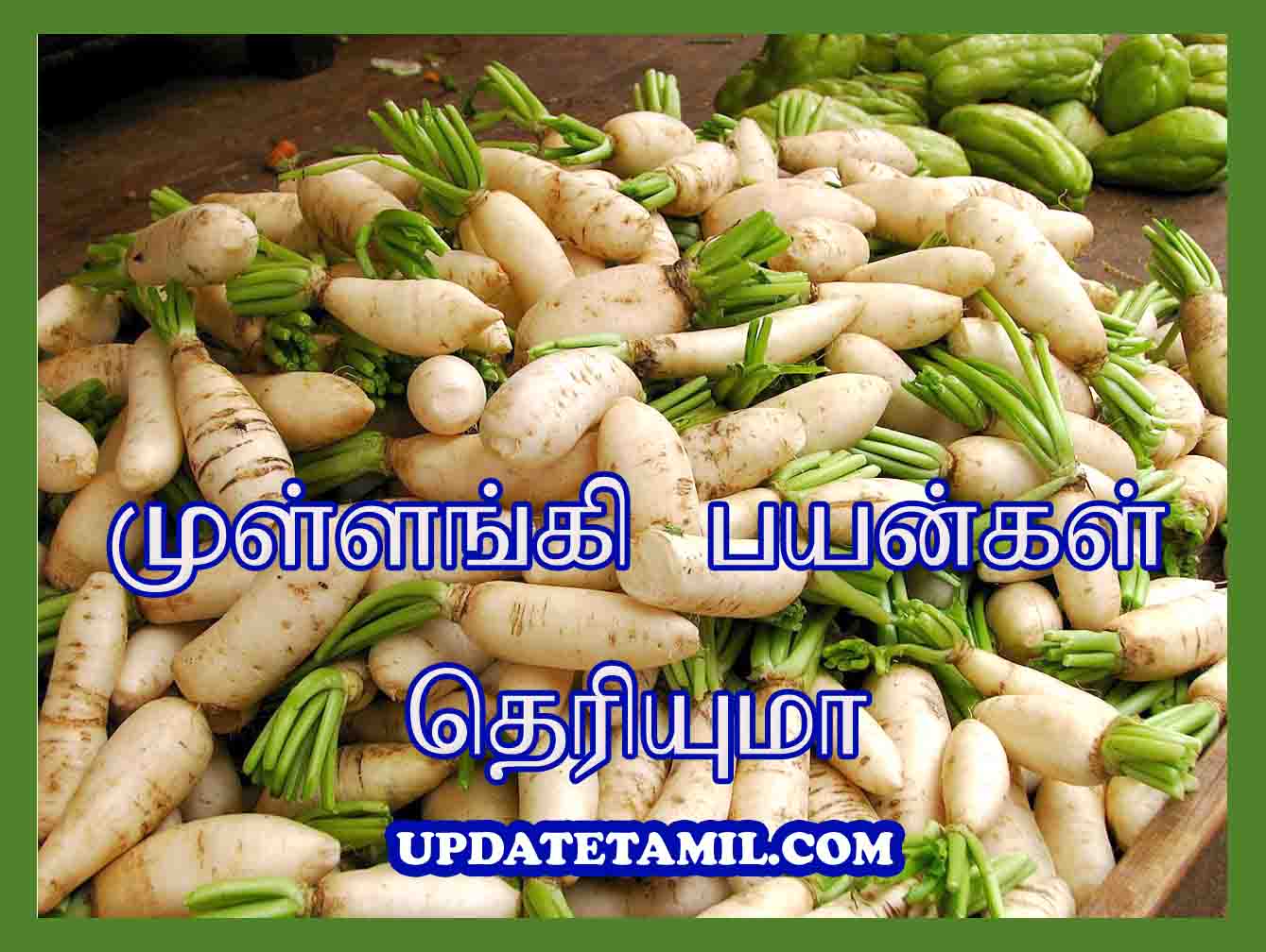 முள்ளங்கி பயன்கள் Mullangi Benefits in Tamil