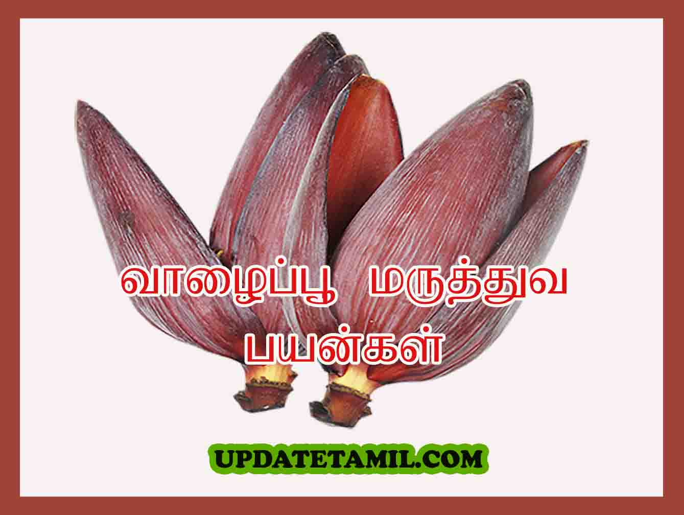 வாழைப்பூ பயன்கள் | Valaipoo Health Benefits in Tamil