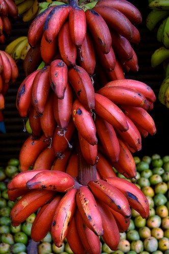 Sevalai செவ்வாழை பழத்தின் நன்மைகள் | Red Banana Benefits in Tamil - Update Thamizha
