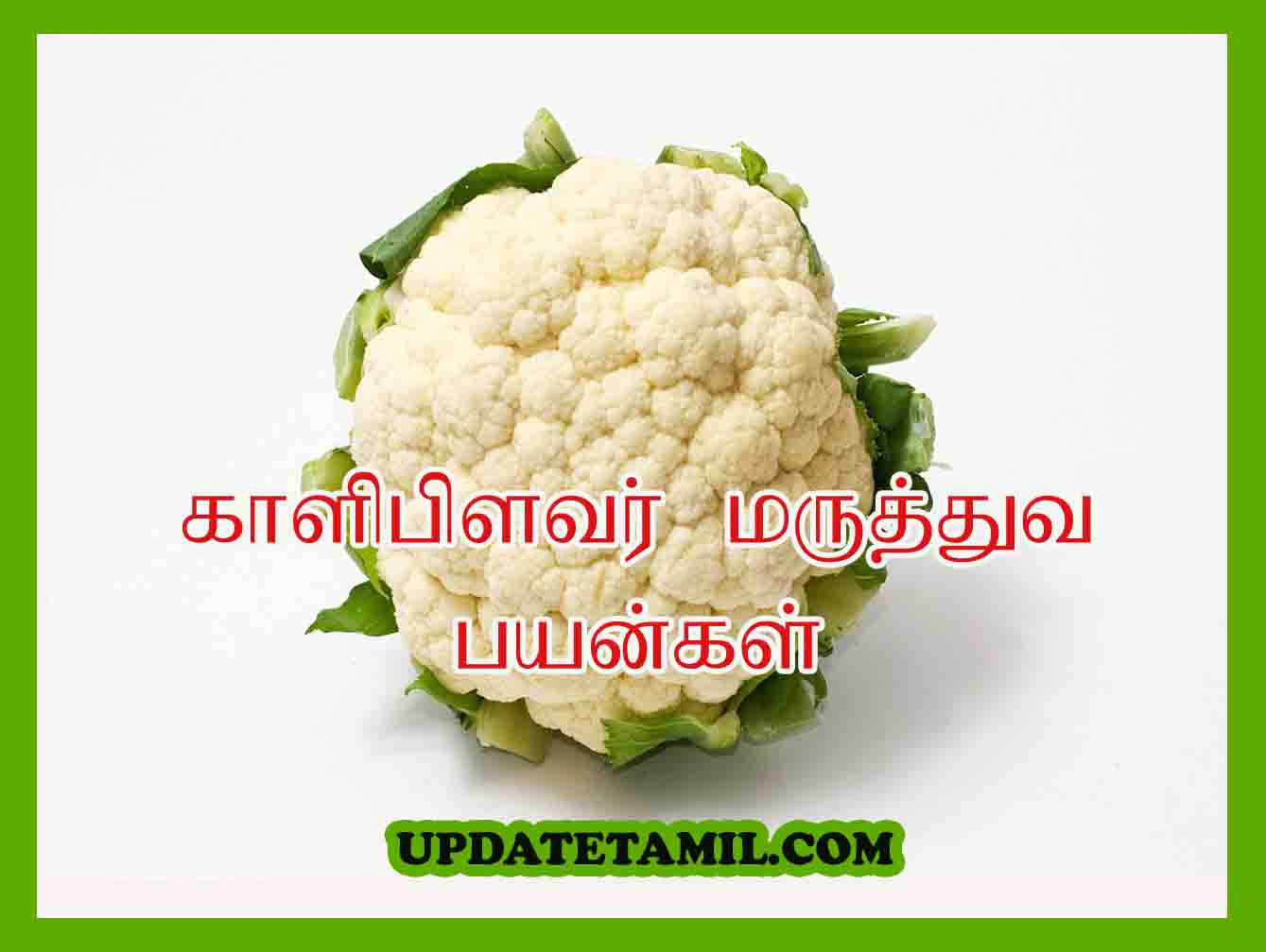 காளிபிளவர் பயன்கள் | Cauliflower In Tamil