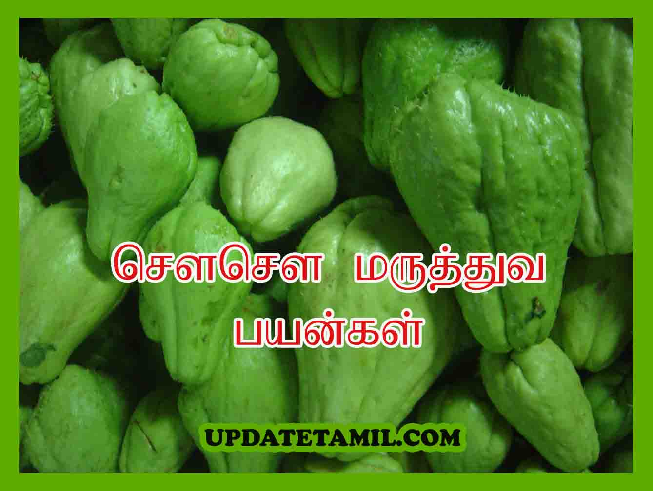 சௌசௌ பயன்கள் Chow Chow Vegetable in Tamil