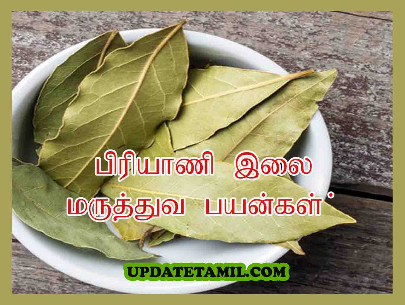 பிரியாணி இலை பயன்கள் Brinji Leaf in Tamil