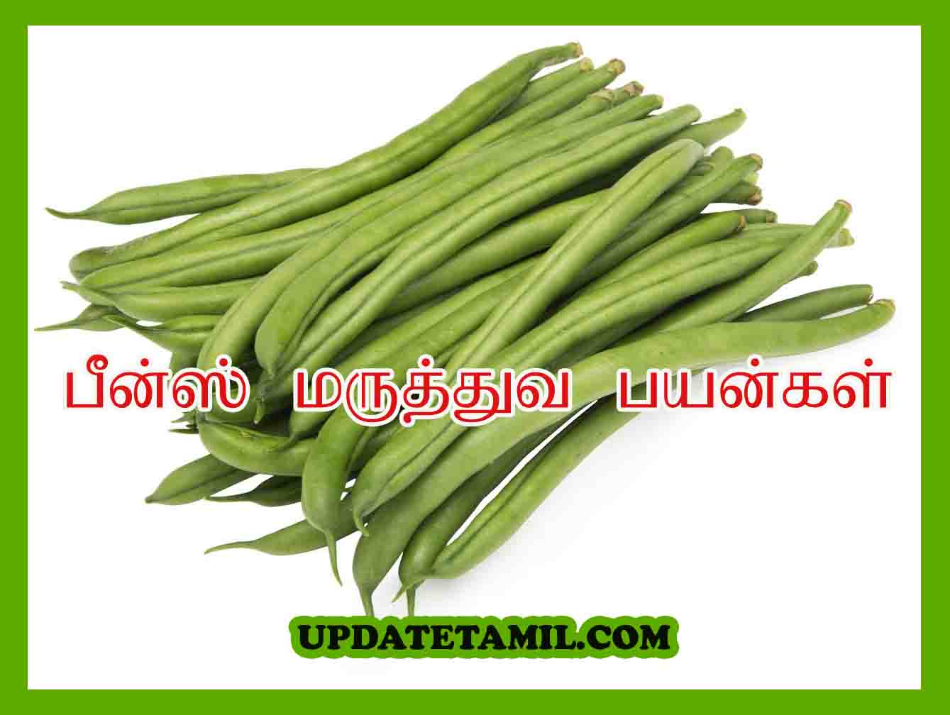 பீன்ஸ் பயன்கள் | Beans Benefits Tamil