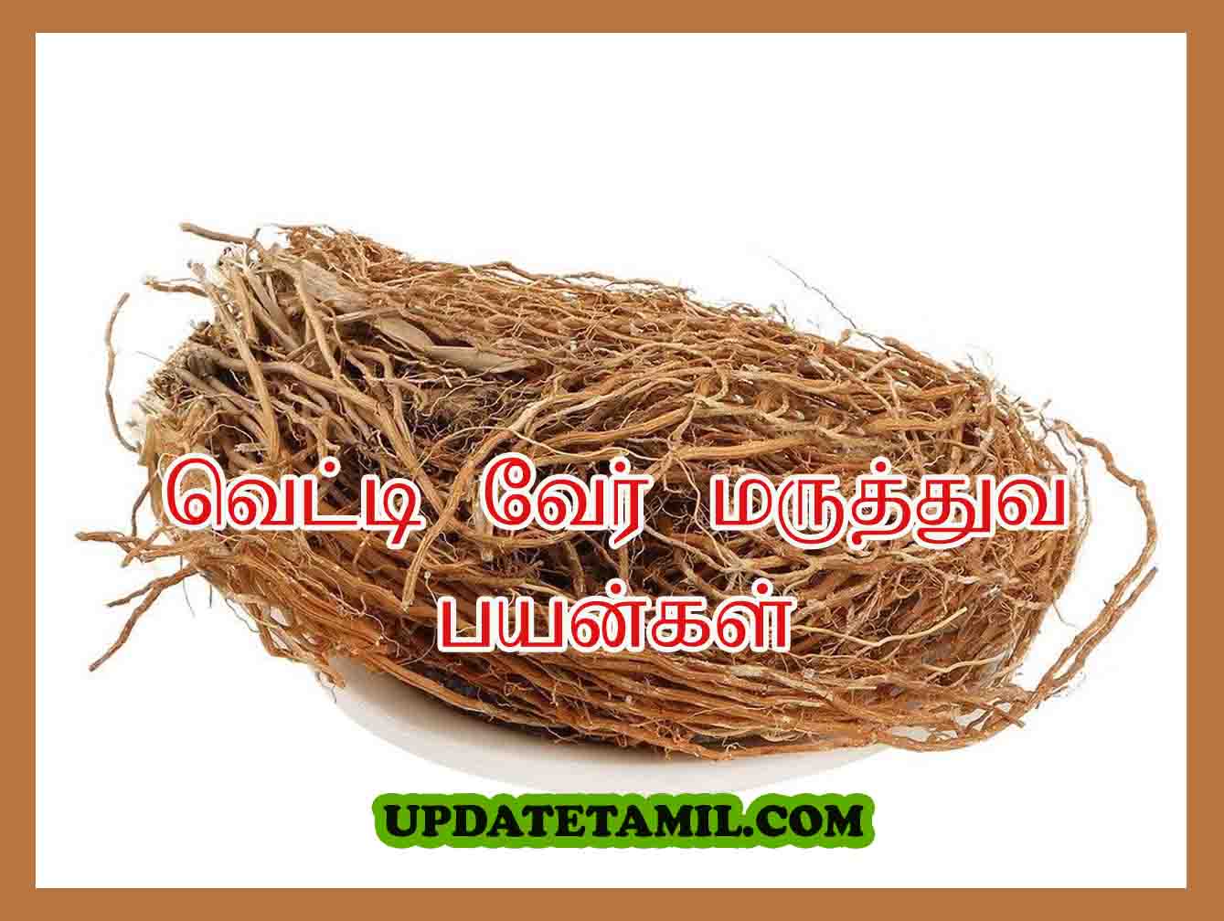 வெட்டி வேர் பயன்கள் | Vetti Veru Uses in Tamil