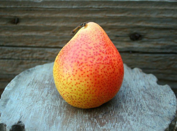 Pear In Tagalog பேரிக்காய் பயன்கள் | Pear Fruit in Tamil - Update Thamizha