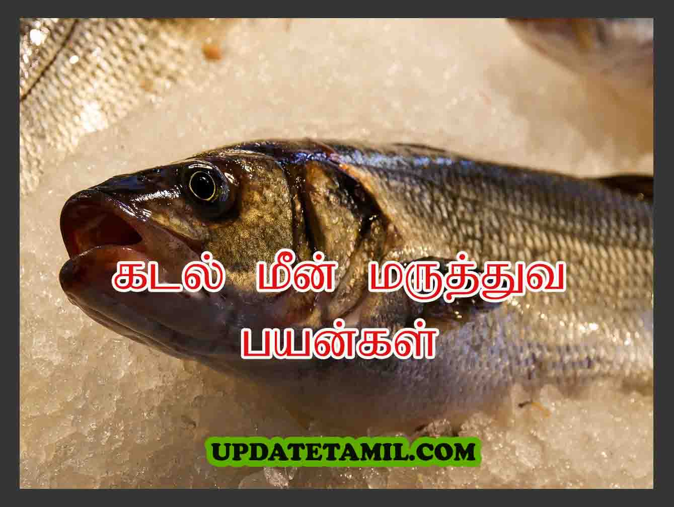 Sea Fish Benefits in Tamil