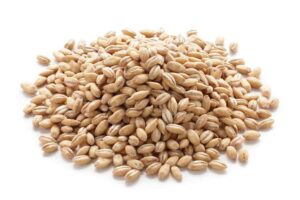 barley powder in tamil