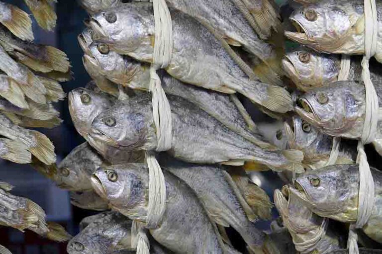 கடல் மீன் பயன்கள் | Sea Fish Benefits in Tamil - Update Thamizha