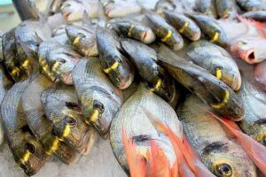 which fish is good for health in tamil