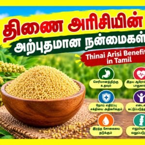 திணை அரிசியின் அற்புதமான நன்மைகள்! Thinai Arisi Benefits in Tamil
