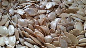 பூசணி விதை நன்மைகள் Pumpkin Seeds Benefits in Tamil