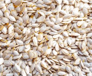 பூசணி விதை நன்மைகள் Pumpkin Seeds Benefits in Tamil