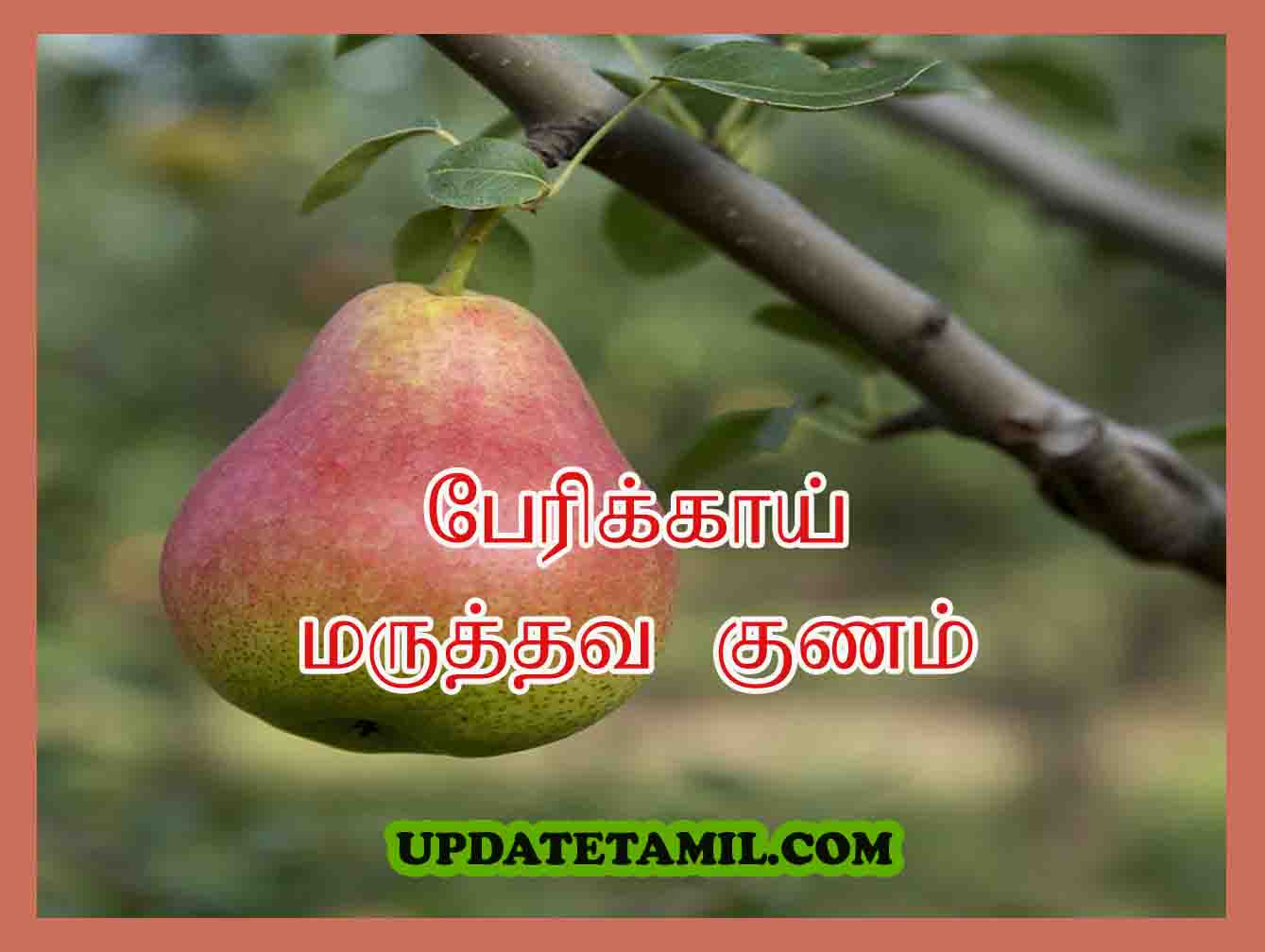 பேரிக்காய் பயன்கள் | Pear Fruit in Tamil