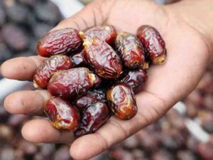 பேரீச்சம் பழத்தின் நன்மைகள் | Dates Benefits in Tamil