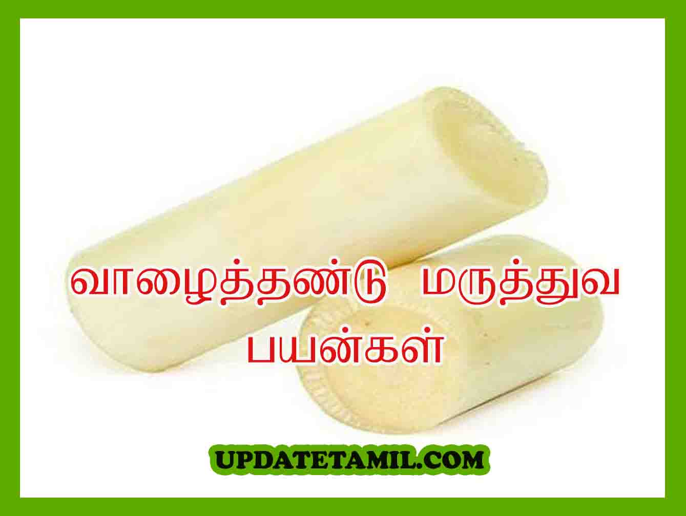வாழைத்தண்டு பயன்கள் Valaithandu Benefits in Tamil