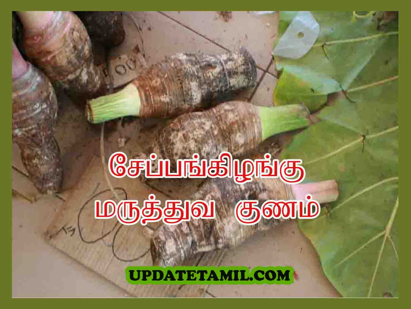 சேப்பங்கிழங்கு பயன்கள்