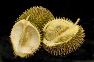 durian fruit benefits in tamil