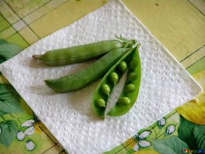 green peas in tamil