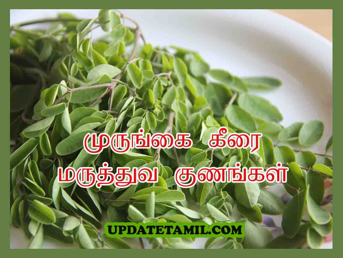 murungai keerai uses in tamil