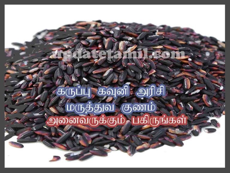 Tamil Sample Rice பூங்கார் அரிசி பயன்கள் | Poongar Rice Benefits in Tamil - Update Thamizha