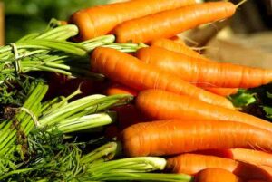 carrot health benefits in tamil