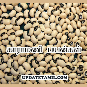 karamani benefits in tamil