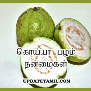 koyya palam benefits in tamil