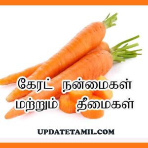 uses of carrot in tamil