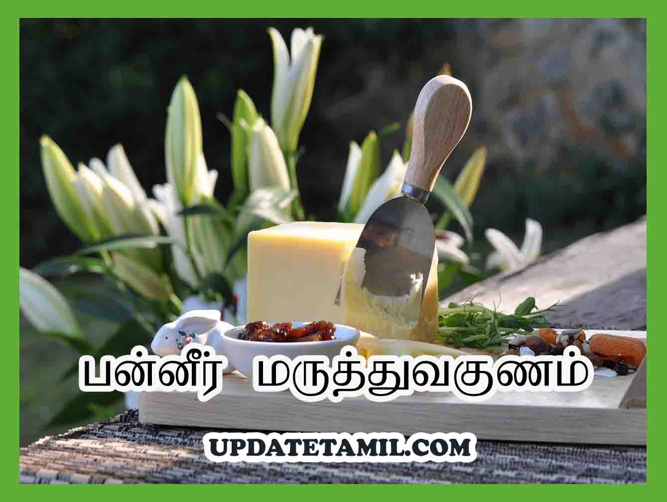 பன்னீர் நன்மைகள் Paneer Benefits in Tamil