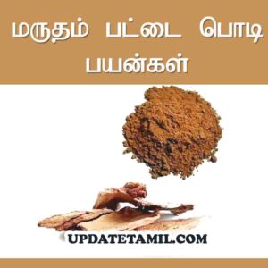 மருதம் பட்டை பொடி பயன்கள்