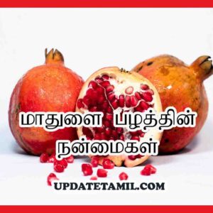 மாதுளை பழத்தின் நன்மைகள் Pomegranate Benefits in Tamil