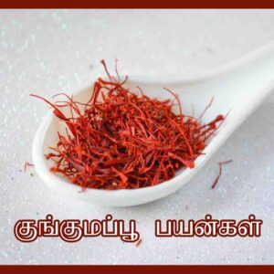 குங்குமப்பூ பயன்கள் Kungumapoo Benefits in Tamil