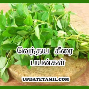 வெந்தய கீரை பயன்கள் vendhaya keerai benefits