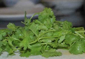 coriander leaves benefits in tamil