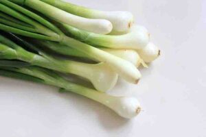 pring onion benefits in tamil