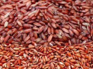 Poongar Rice Benefits in Tamil