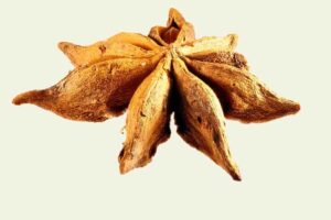 anise seed in tamil