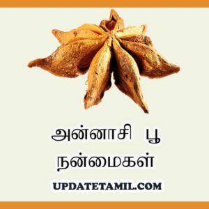 அன்னாசி பூ நன்மைகள்