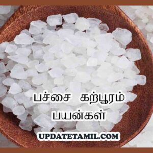 பச்சை கற்பூரம் பயன்கள்